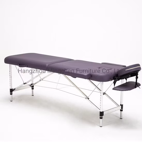 Wholesale Home Salon Furniture Massage Bed for Beauty and Health Care (ZG28-002)