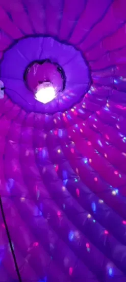 Gorila inflable colorida del disco para saltar bailando con la despedida de la tienda de la bóveda de la bola de discoteca del LED